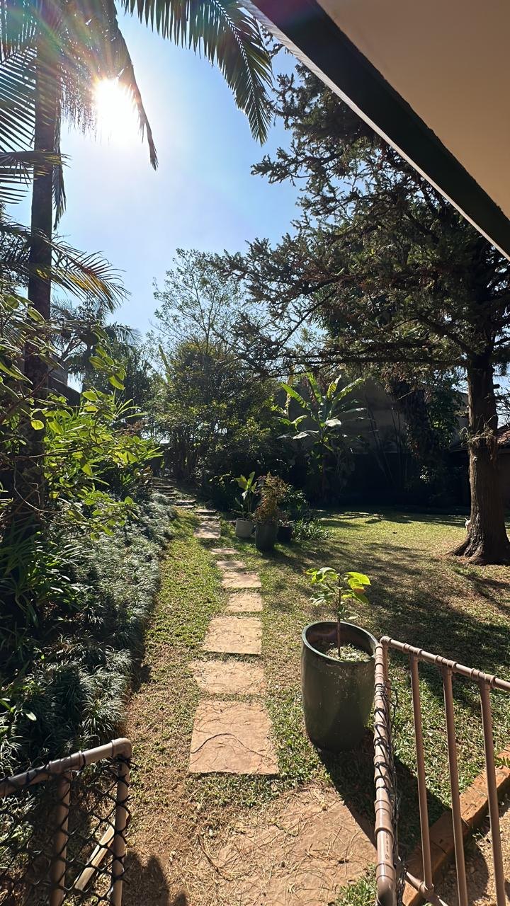 Jardim da Big House com caminho de pedras, gramado e árvores